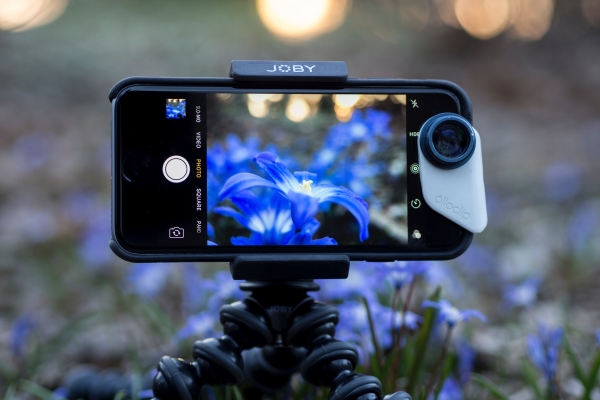 smartphone on a tripod shooting a photo of a purple flower